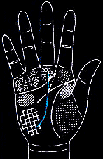 看手相算命图解:掌线