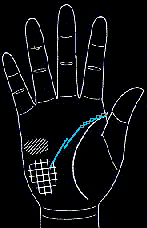 看手相算命图解:掌线