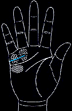 看手相算命图解:掌线