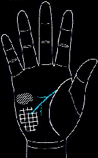 看手相算命图解:掌线