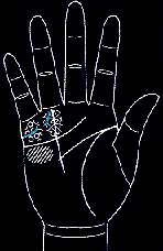 看手相算命图解:掌线