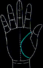 看手相算命图解:掌线