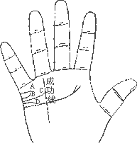 看手相算命图解:手相看婚姻