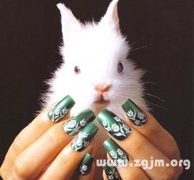 手相图解大全：16、从指甲形状判断职场性向