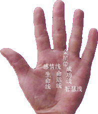 手相图解大全:25、手相告诉你适合的职业