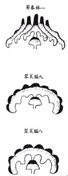 《地理啖蔗录》卷一 丰城袁守定叔论着并释