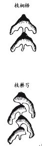 《地理啖蔗录》卷一 丰城袁守定叔论着并释