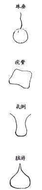 《地理啖蔗录》卷二 剥换