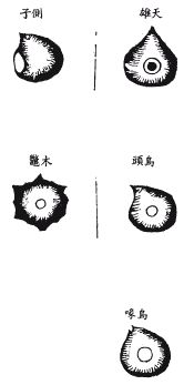 《地理啖蔗录》卷二 剥换