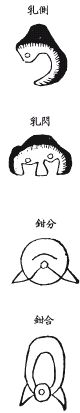 《地理啖蔗录》卷三 穴法