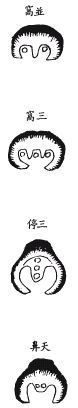《地理啖蔗录》卷四 穴法补义和扦法