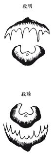 《地理啖蔗录》卷五 龙虎