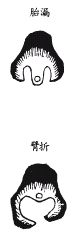 《地理啖蔗录》卷五 龙虎