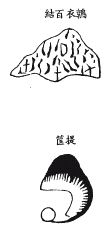 《地理啖蔗录》卷五 龙虎