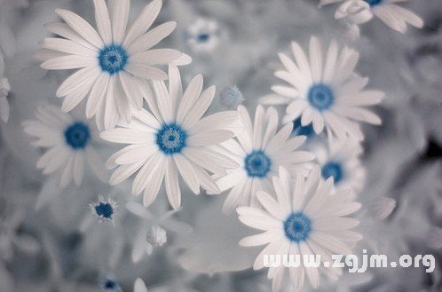 非主流个性网名 超拽