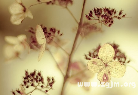 非主流唯美女生网名