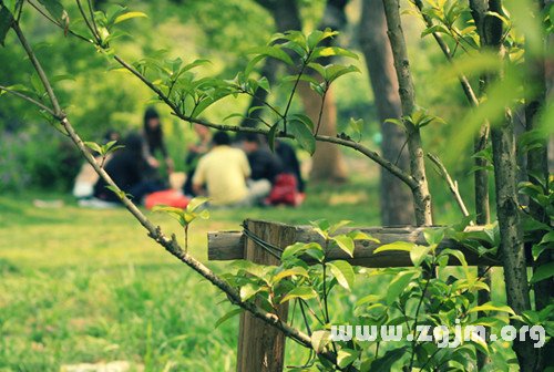 非主流另类网名