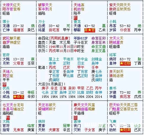 紫微斗数精成：第11章 命例推演