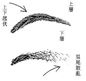 眉毛看相算命图解 眉毛面相解析你一生的运势