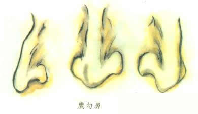 鼻子大就会有财运吗 什么样的鼻子有财运
