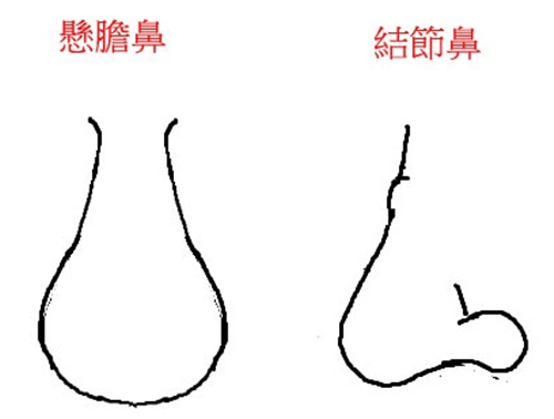 悬胆鼻能发财