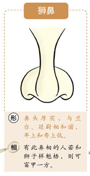 狮子鼻能发财