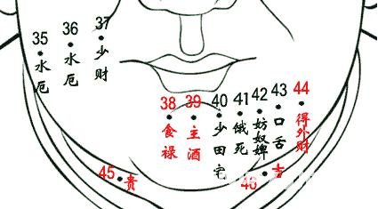 男人面部痣相图解（下停）