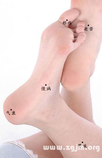 全身痣相图