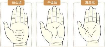 手相掌纹图解
