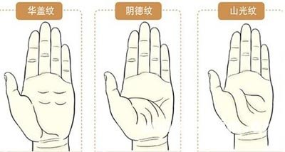 手相掌纹图解