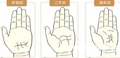手相掌纹图解