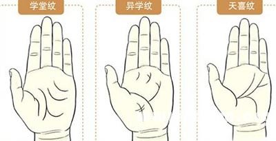 手相掌纹图解