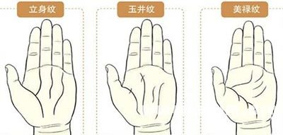 手相掌纹图解