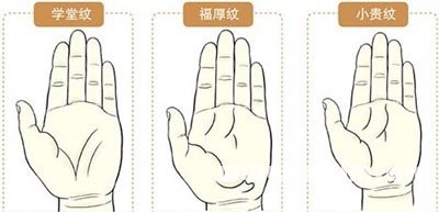 手相掌纹图解