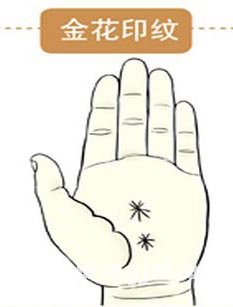 手相掌纹图解