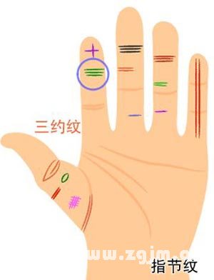 三豹纹