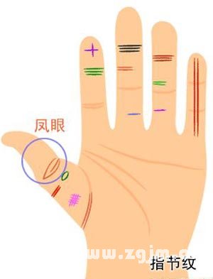 凤眼纹