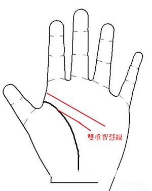 从手相看你有多聪明