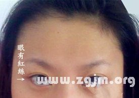 读者照片分析