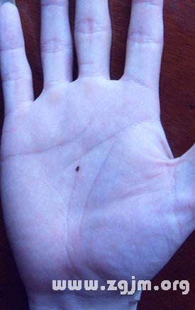 读者照片解答