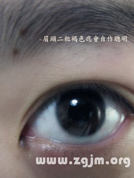 读者照片分析