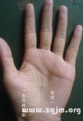 读者照片分析