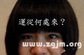 读者照片分析