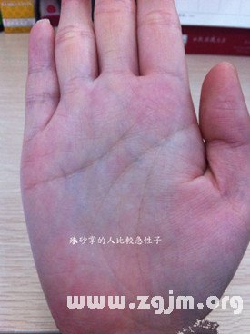 读者照片分析