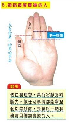 拇指长度标准的人