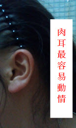 熊老师说掌相82