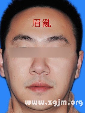 熊老师说掌相89