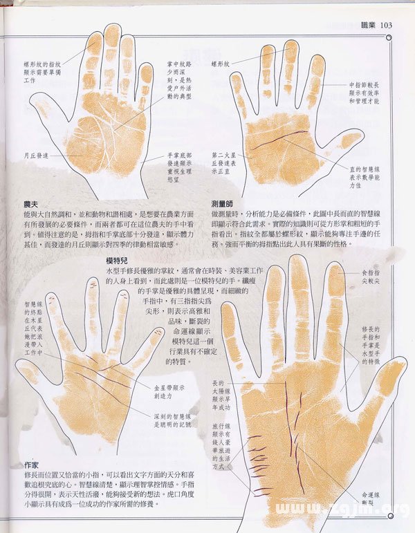 《手相学习百科》：手相看事业、职业