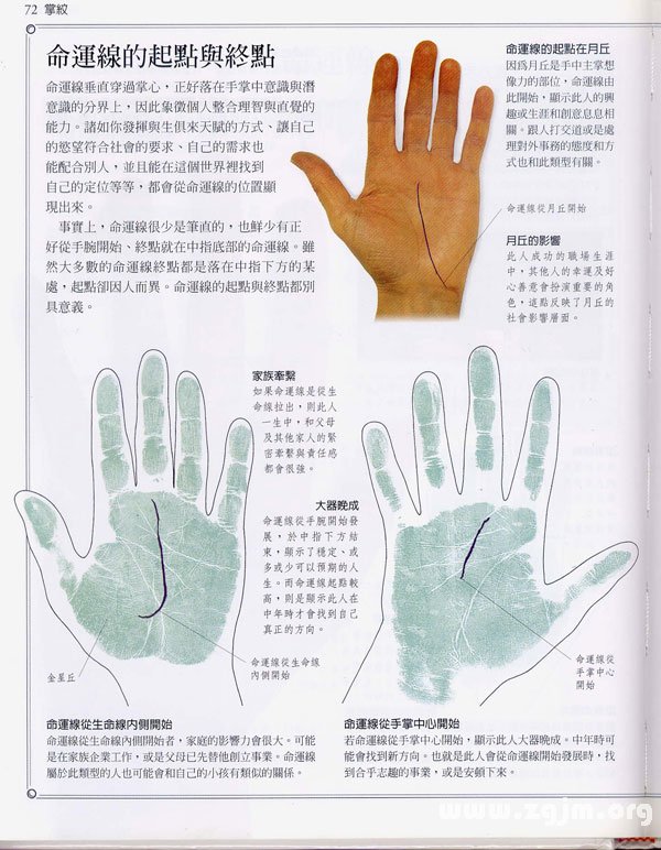 《手相学习百科》：命运线