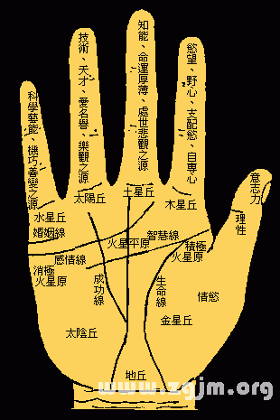 凯帝阿手相算命图解大全07